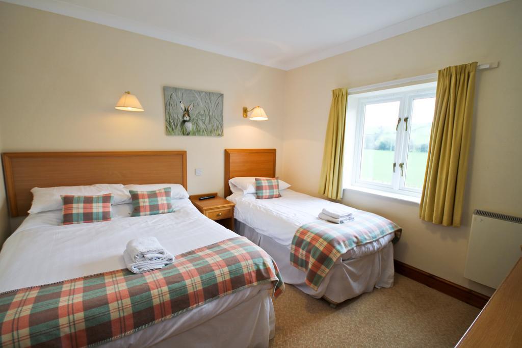 Llety Ceiro Guesthouse Абъристуит Екстериор снимка
